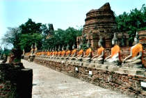 Unzählige geschmückte Buddha Figuren