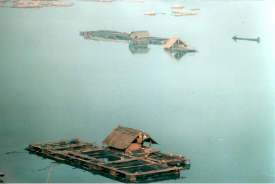 Morgendlicher Blick auf den Mekong