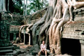 Dieser Baum 'saß' quasi auf der Mauer des Ta Prohm - und Steffi davor